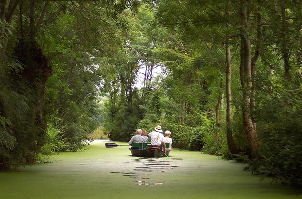 Balade au coeur du marais vendéen