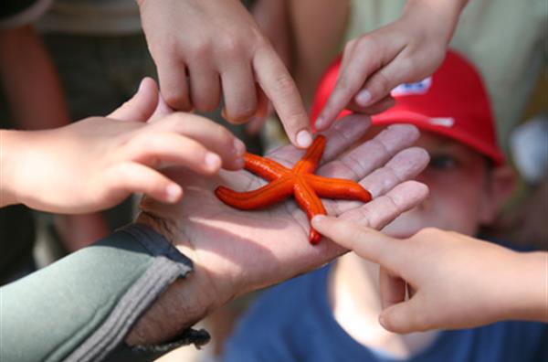 Animations enfants sur le camping - Les Samaras à St Jean de Monts