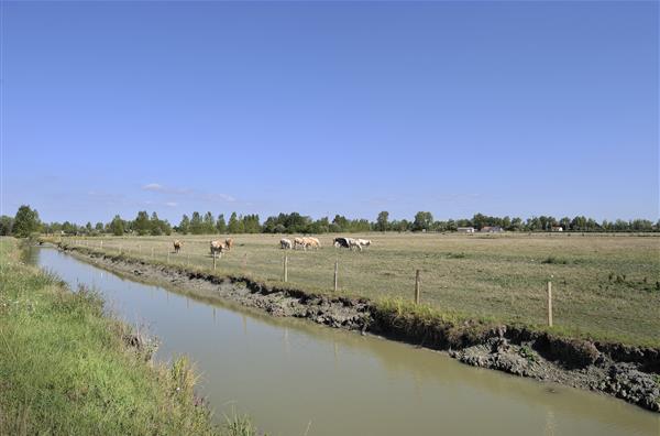Camping à Saint Jean de Monts en Vendee